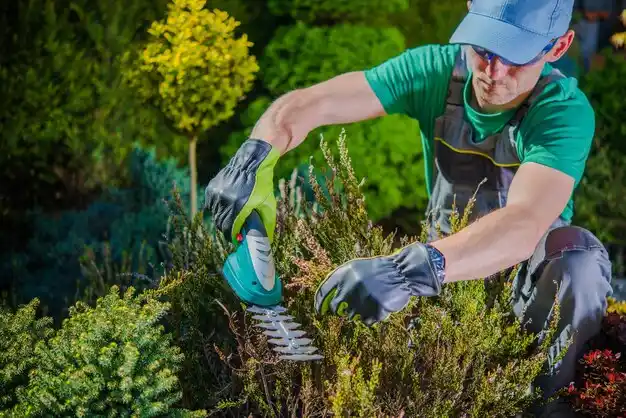 landscaping services River Ridge